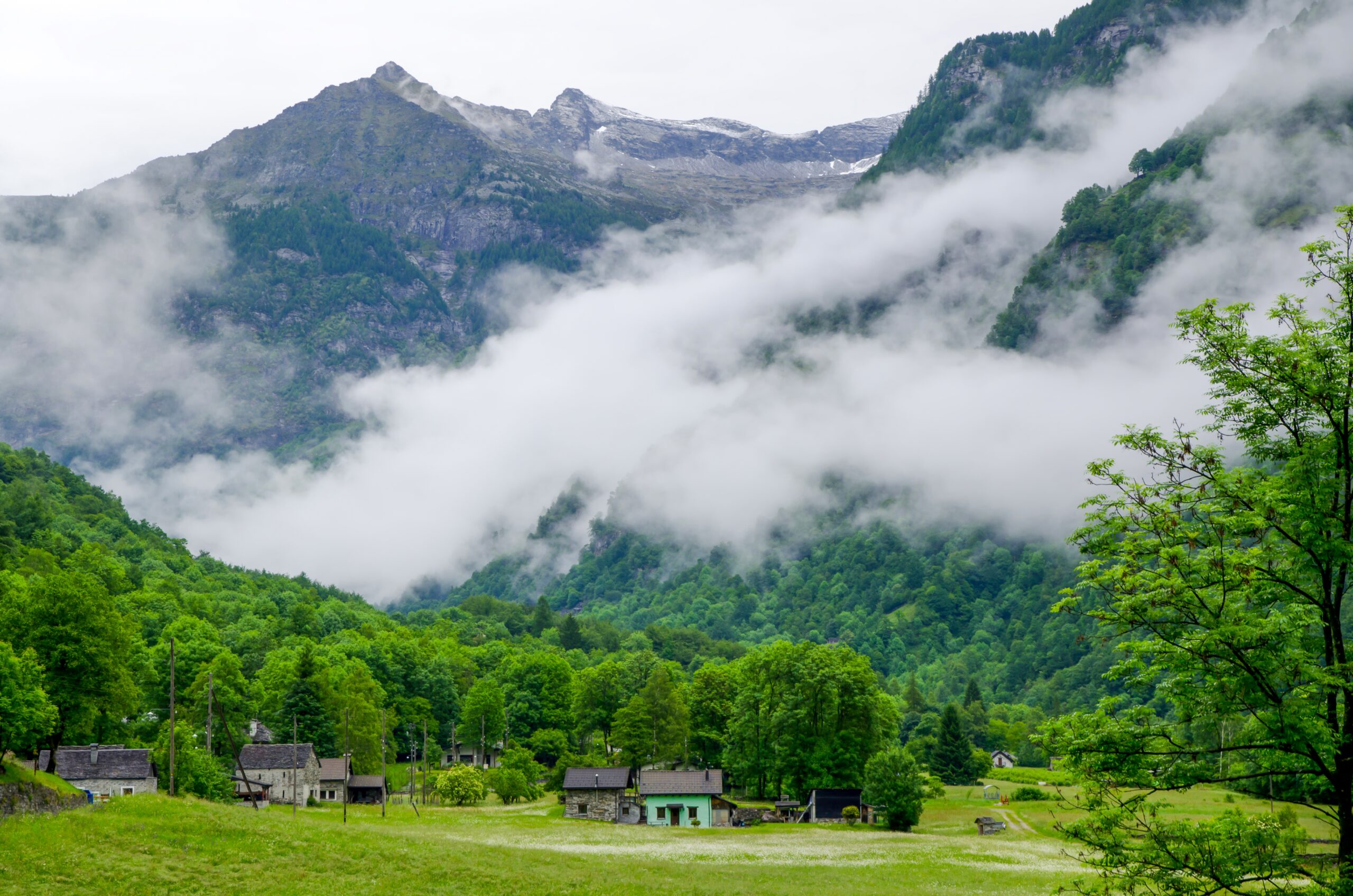 Dalhousie