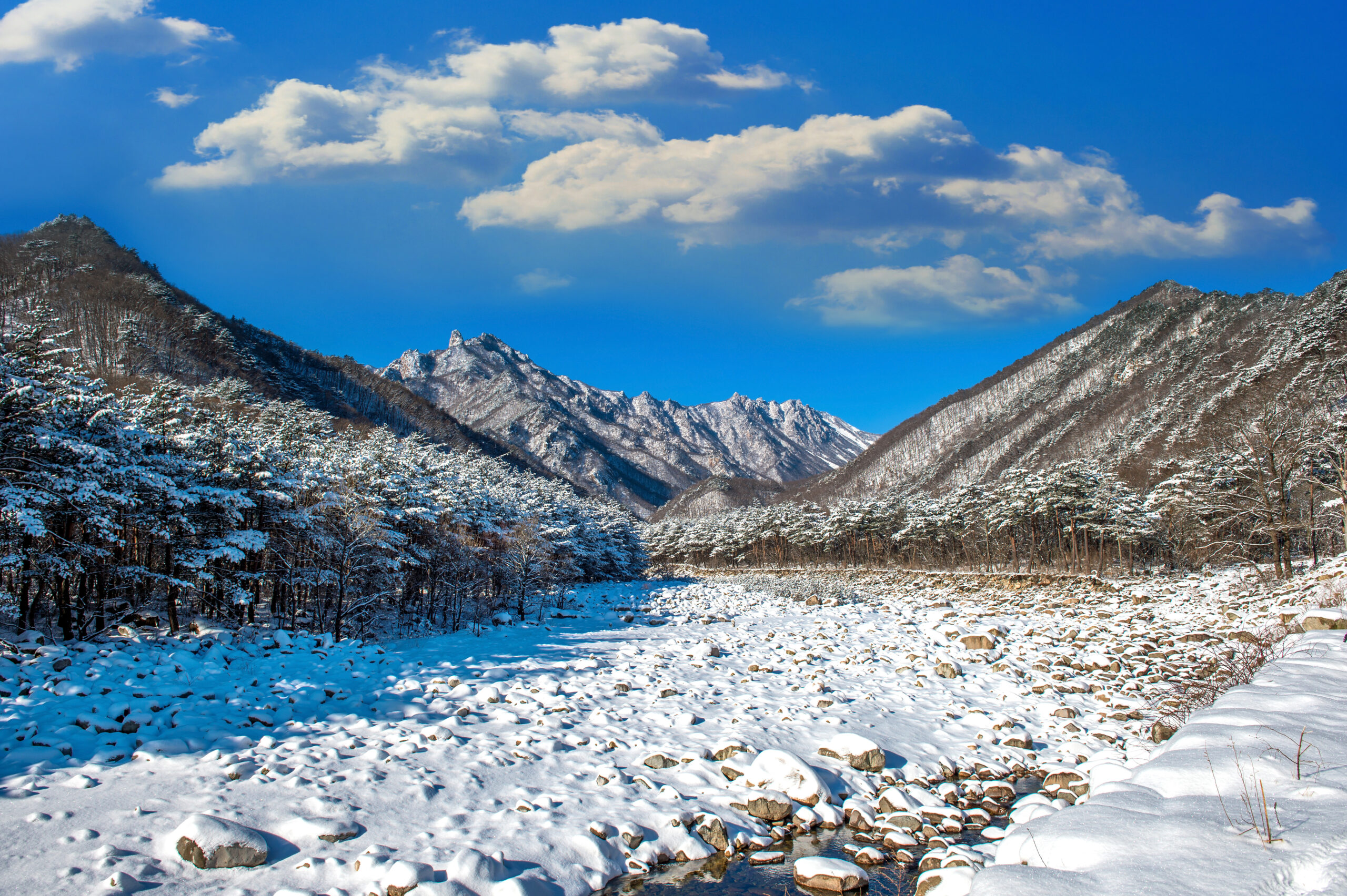 Dharmshala